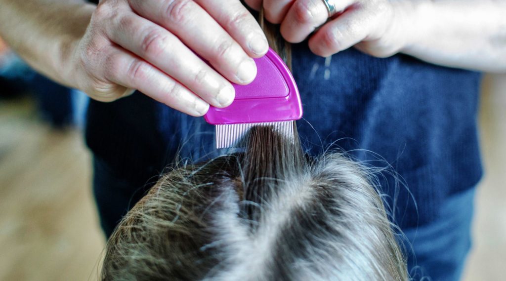 Treatment of Lice